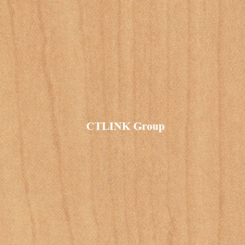 Sàn nâng kỹ thuật đục lỗ thông gió FS-PER1000